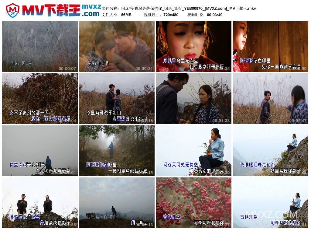 闫辽艳-我愿菩萨保佑你_国语_流行_YEB00870